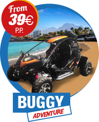 buggy offer